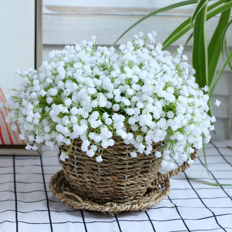 Primrue Baby's Breath Arrangement Wayfair Canada